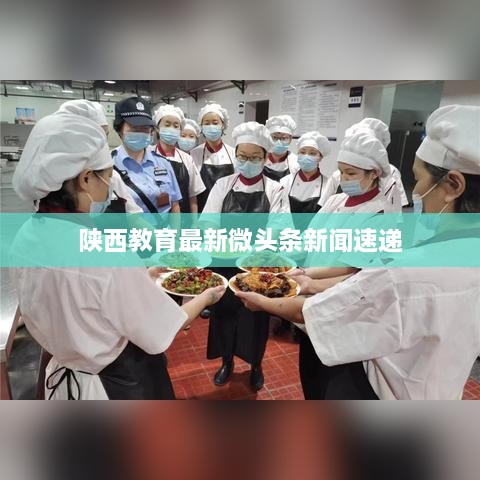 产品中心 第8页