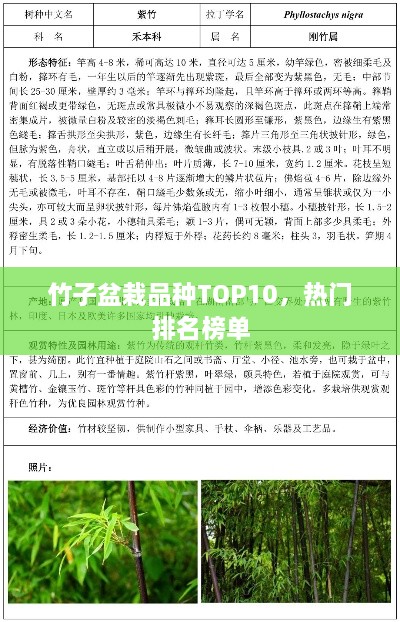 2025年5月13日 第2页