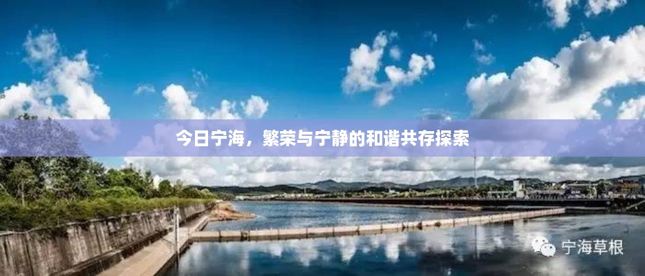 标新竞异