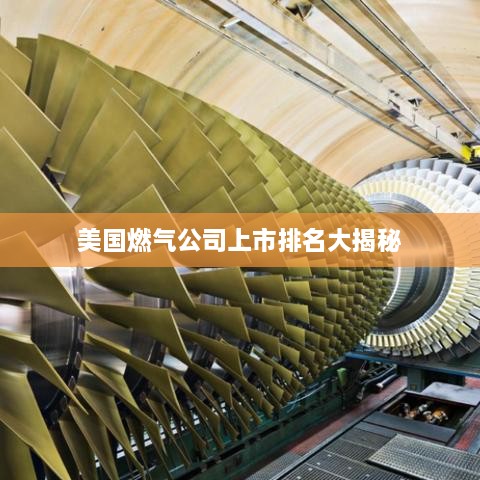 美国燃气公司上市排名大揭秘