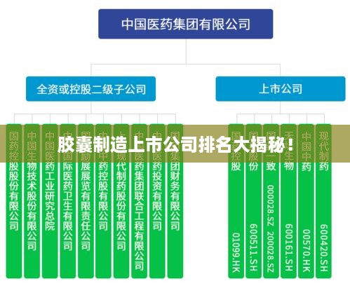 胶囊制造上市公司排名大揭秘！