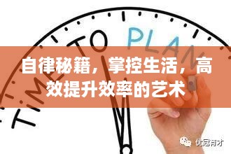 自律秘籍，掌控生活，高效提升效率的艺术