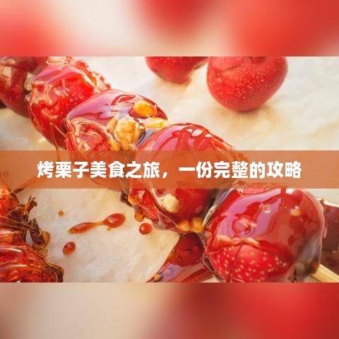 烤栗子美食之旅，一份完整的攻略