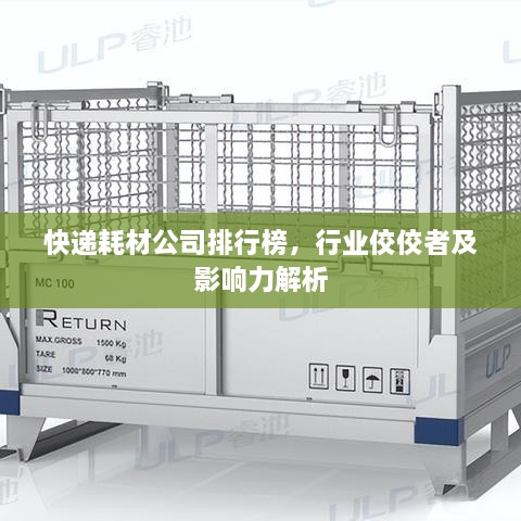 快递耗材公司排行榜，行业佼佼者及影响力解析