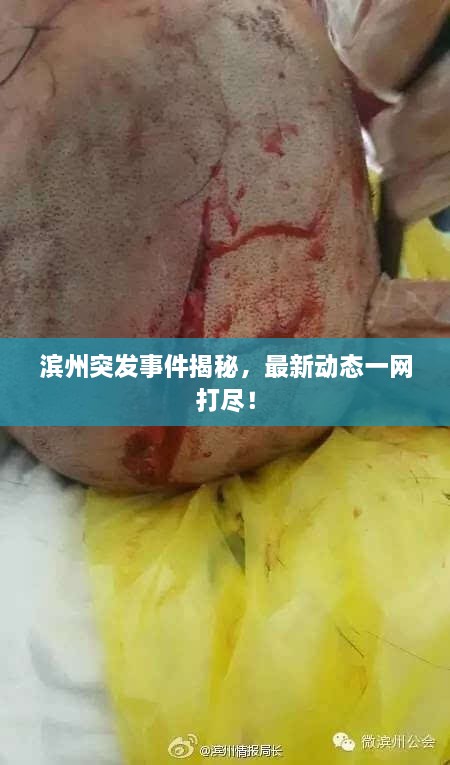 滨州突发事件揭秘，最新动态一网打尽！