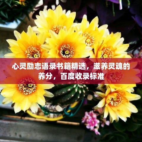 心灵励志语录书籍精选，滋养灵魂的养分，百度收录标准