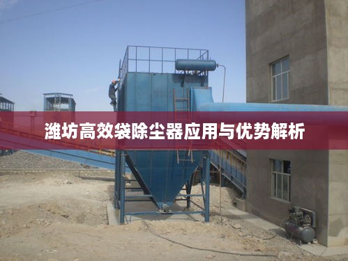 潍坊高效袋除尘器应用与优势解析