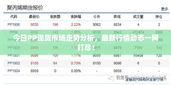 今日PP现货市场走势分析，最新行情动态一网打尽！