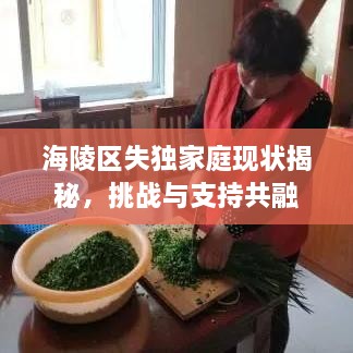 海陵区失独家庭现状揭秘，挑战与支持共融