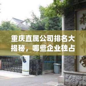 重庆直属公司排名大揭秘，哪些企业独占鳌头？