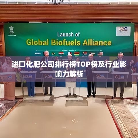 进口化肥公司排行榜TOP榜及行业影响力解析
