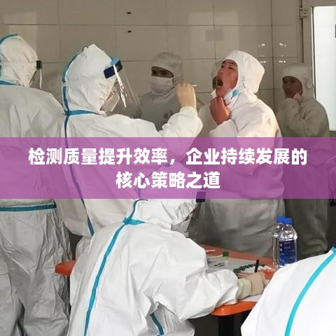 检测质量提升效率，企业持续发展的核心策略之道