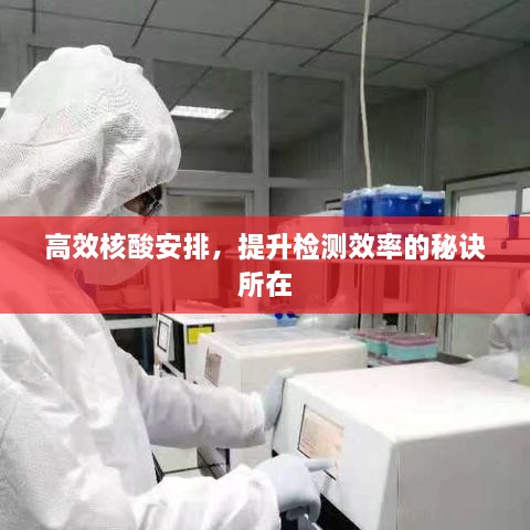 高效核酸安排，提升检测效率的秘诀所在
