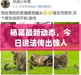 杨幂最新动态，今日说法传出惊人消息！