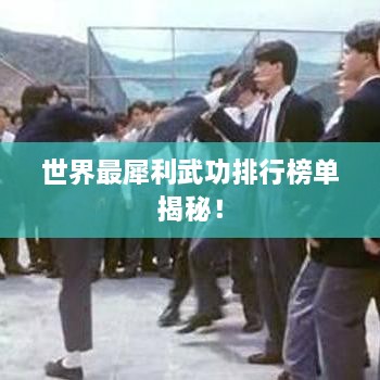 世界最犀利武功排行榜单揭秘！