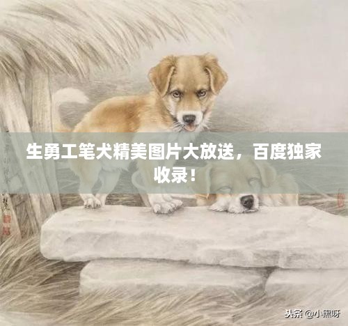 生勇工笔犬精美图片大放送，百度独家收录！