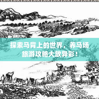 探索马背上的世界，养马场旅游攻略大放异彩！