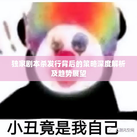 独家剧本杀发行背后的策略深度解析及趋势展望