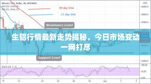 生铝行情最新走势揭秘，今日市场变动一网打尽