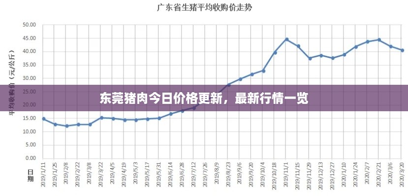 东莞猪肉今日价格更新，最新行情一览