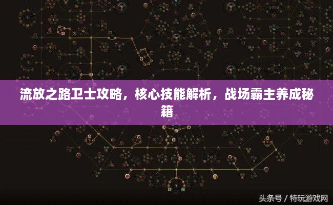 流放之路卫士攻略，核心技能解析，战场霸主养成秘籍