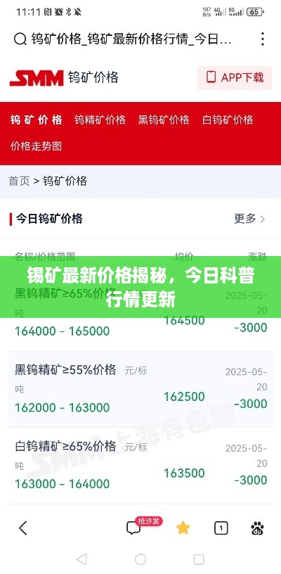 锡矿最新价格揭秘，今日科普行情更新