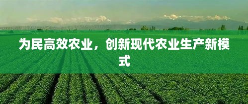 为民高效农业，创新现代农业生产新模式